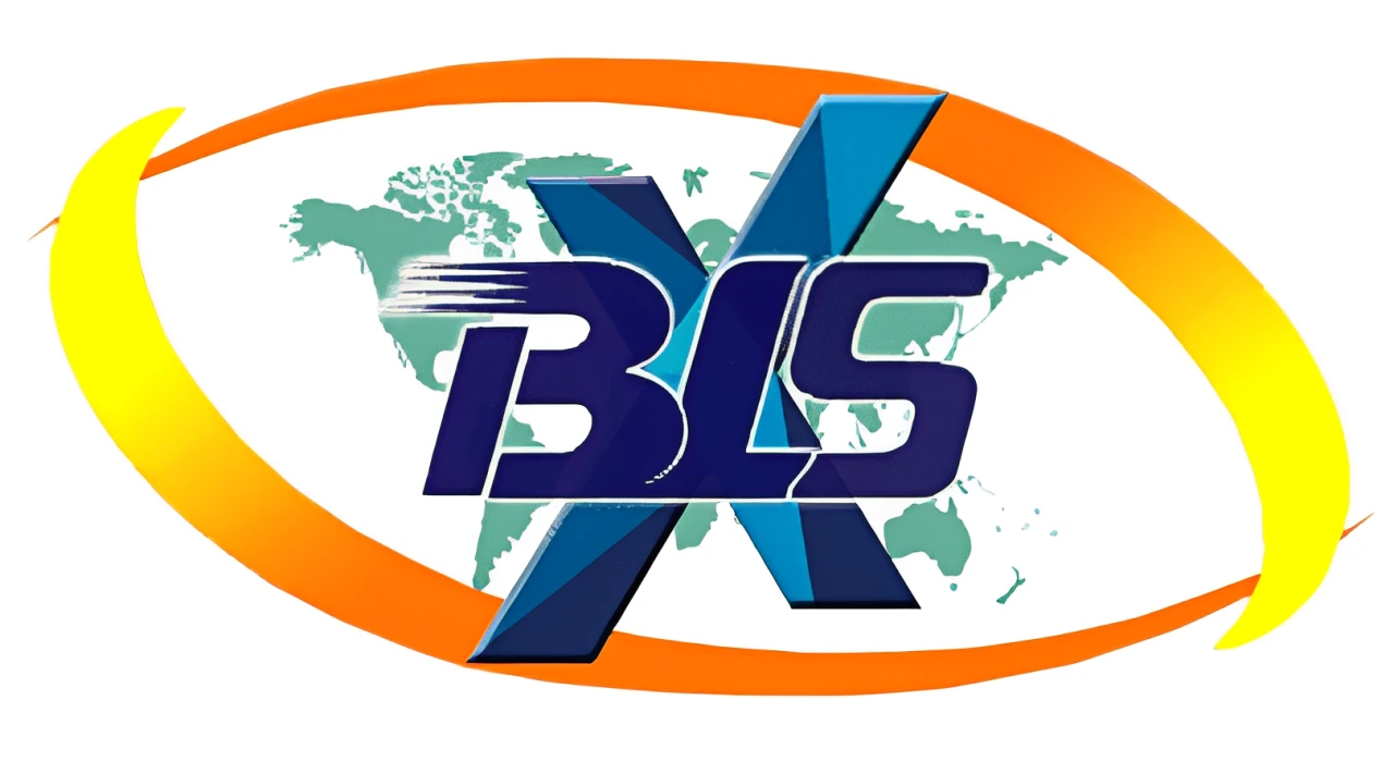 BLSX’s Pre-IPO Magic: Why This Company Is the One to Watch!